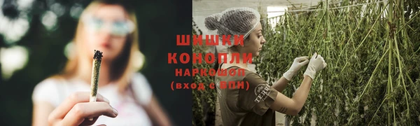 прущие крисы Аркадак