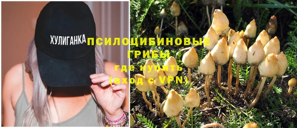 эйфоретик Алзамай