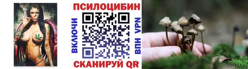 кракен сайт  купить наркотики сайты  Долгопрудный  Псилоцибиновые грибы прущие грибы 